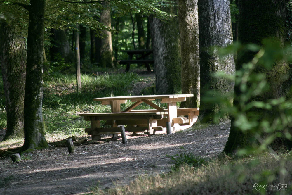 picknick in het hart van het Mervent bos