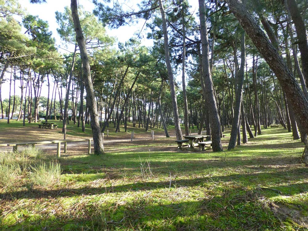 camping au coeur d'une nature préservée en Vendée
